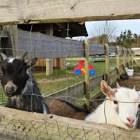 8 Person In Struer-by Traum Struer